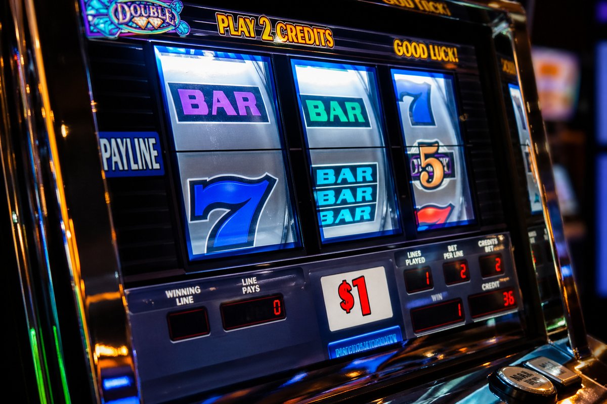 Tragamonedas Oso Gordo — Lima